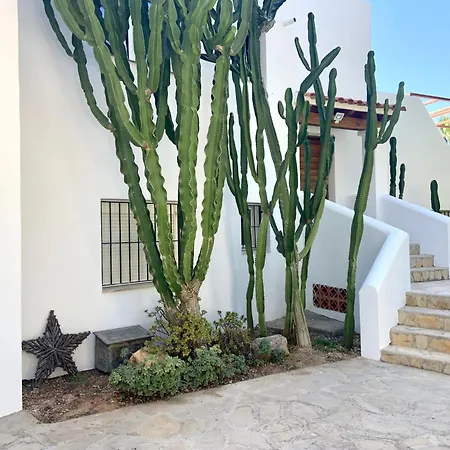 Luxury Seaside In Ibiza Villa *